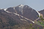 Spettacolo di crocus ai prati della Pigolotta di Valtorta il 22 aprile 2019  - FOTOGALLERY